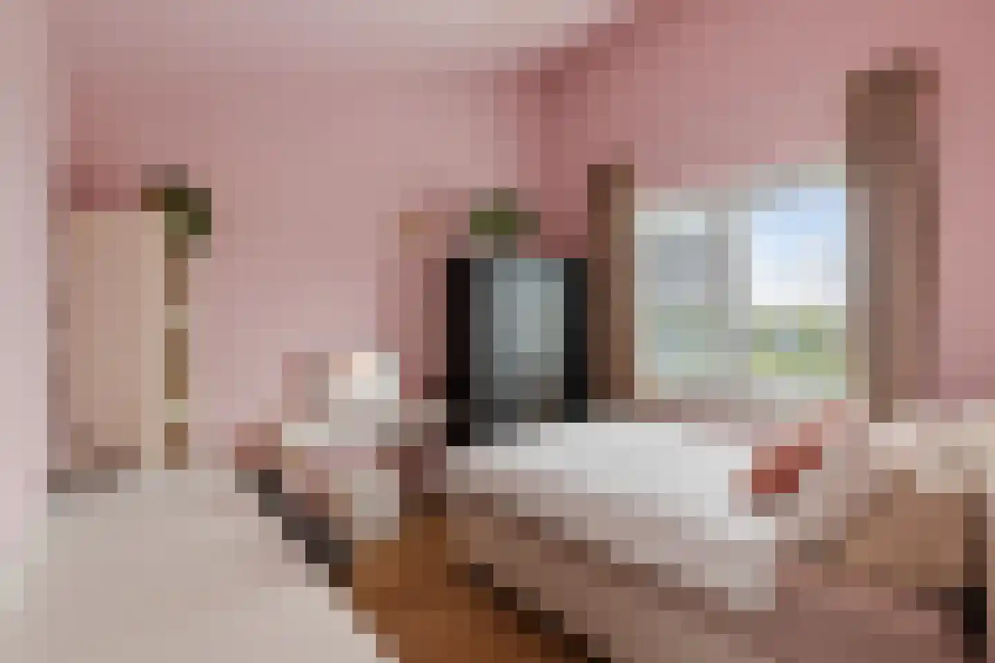 Oer de Feart 184 Joure thumbnail 38