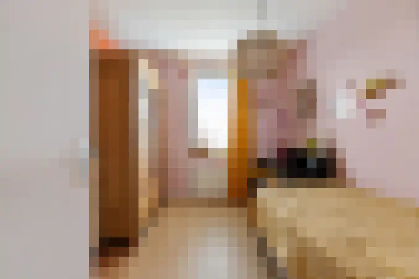 Oer de Feart 184 Joure thumbnail 48