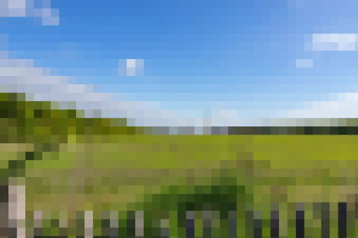 Oer de Feart 184 Joure thumbnail 50