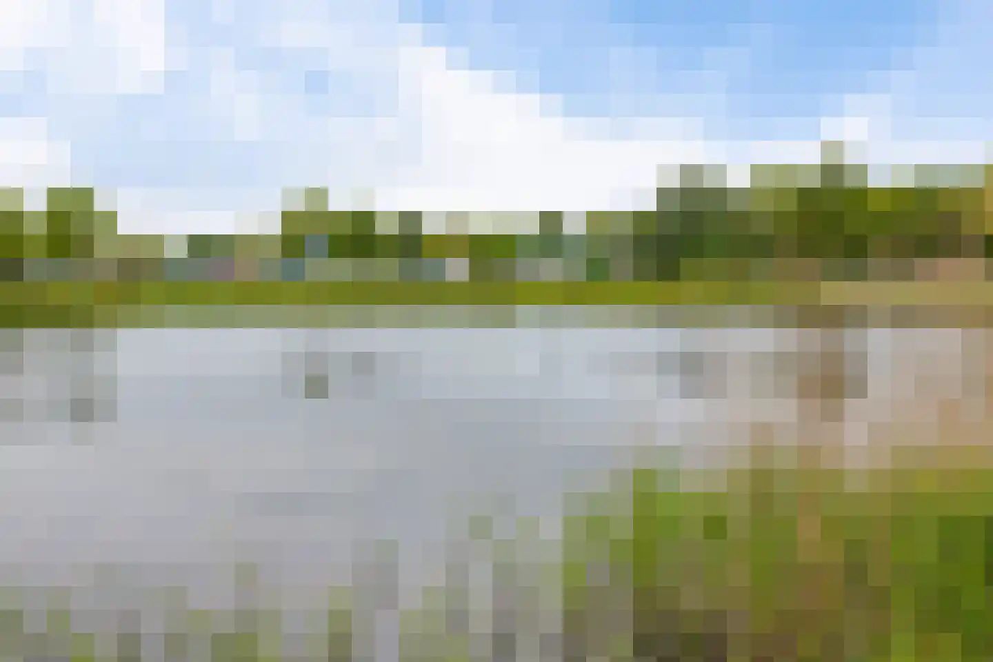 Oer de Feart 184 Joure thumbnail 7