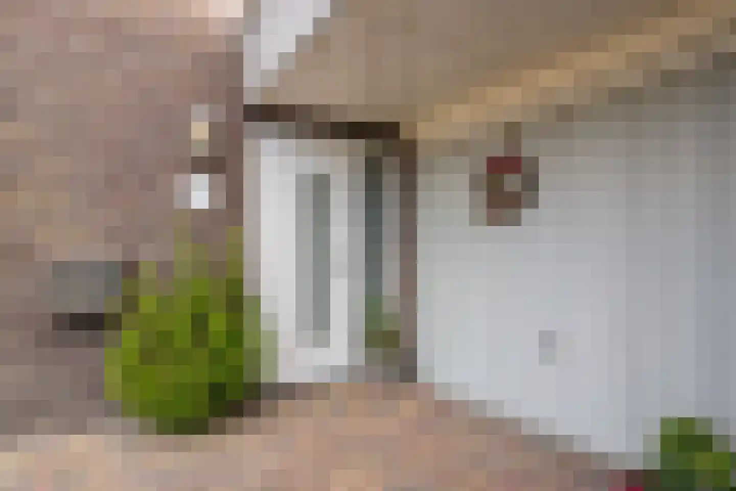 Oer de Feart 184 Joure thumbnail 9