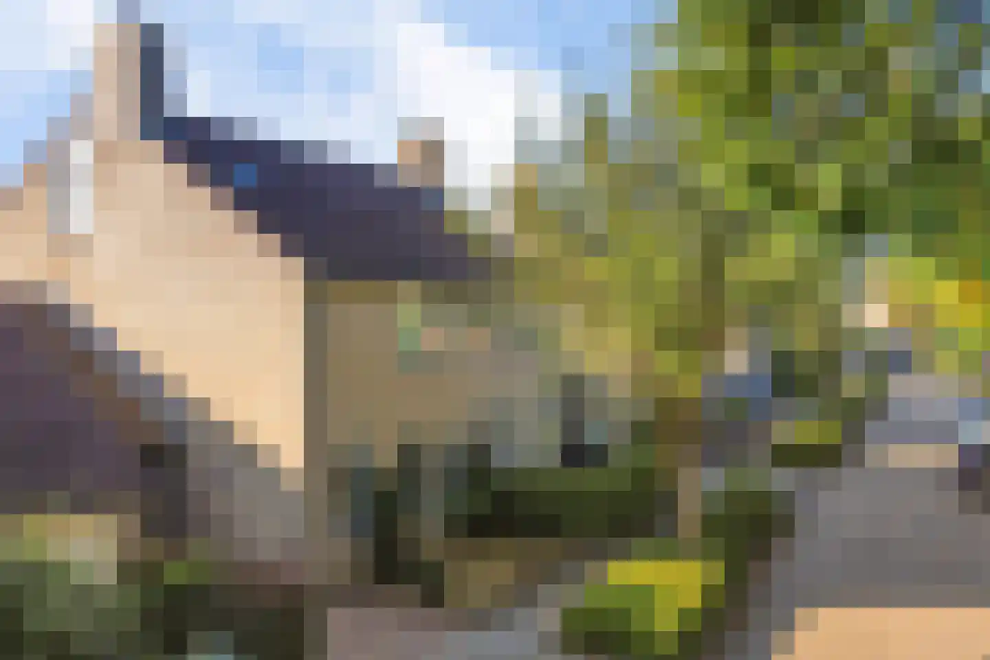Oer de feart 21 Goutum thumbnail 38