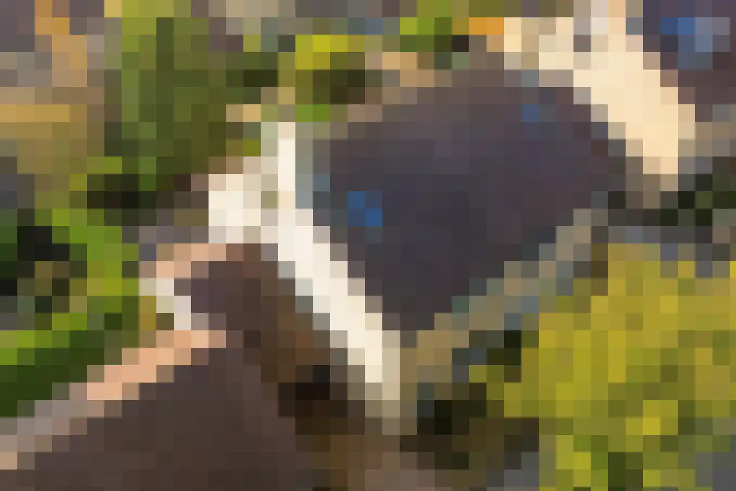 Oer de feart 21 Goutum thumbnail 39