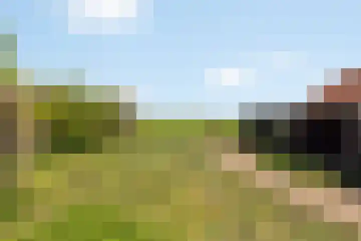 Oer de feart 25 Wiuwert foto 2