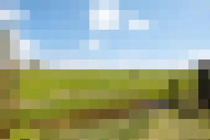 Oer de feart 25 Wiuwert thumbnail 30