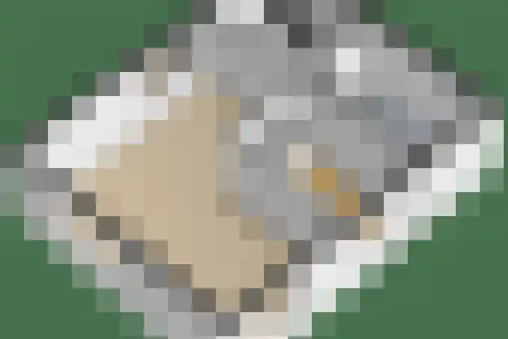 Oer de feart 25 Wiuwert thumbnail 37