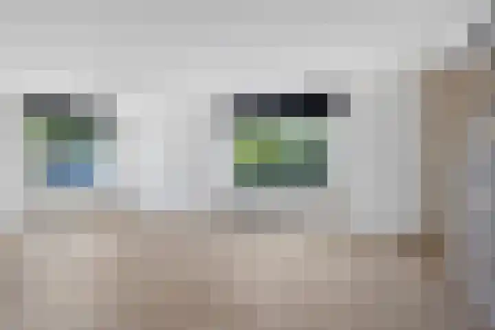 Oer de feart 25 Wiuwert thumbnail 6