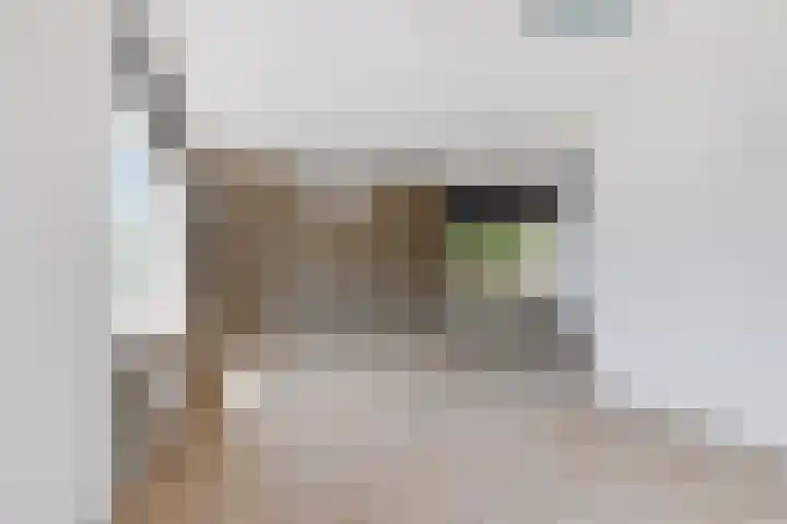 Oer de feart 25 Wiuwert thumbnail 8