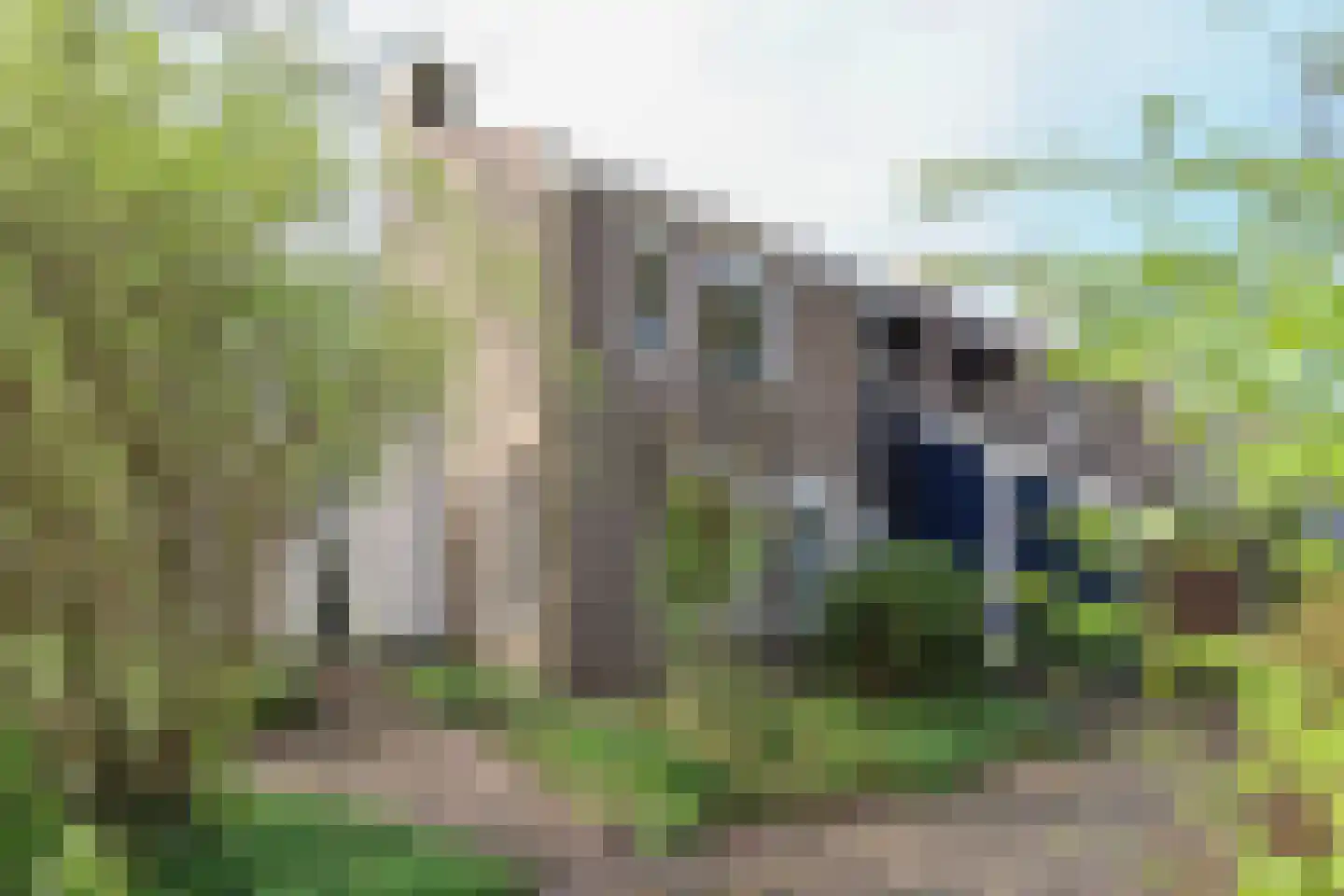 Oer de feart 28 Goutum thumbnail 12