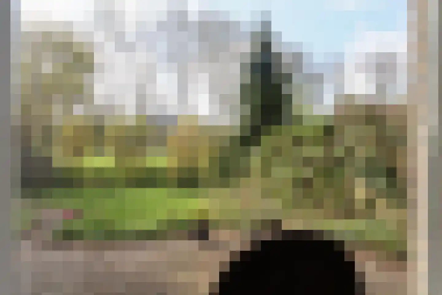 Oer de feart 28 Goutum thumbnail 27