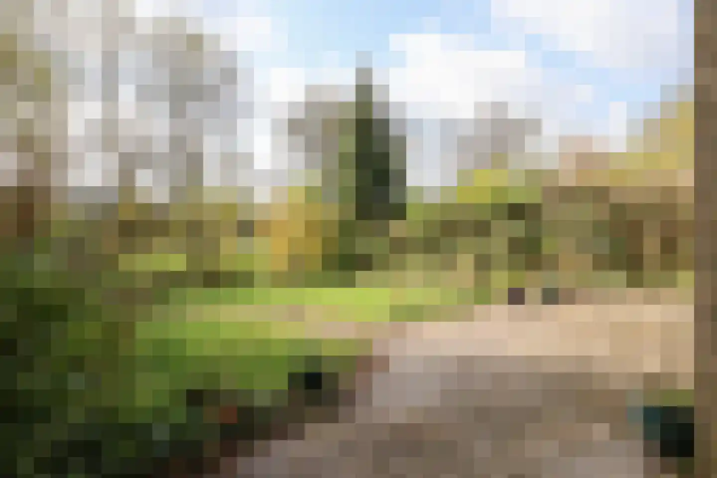 Oer de feart 28 Goutum thumbnail 61