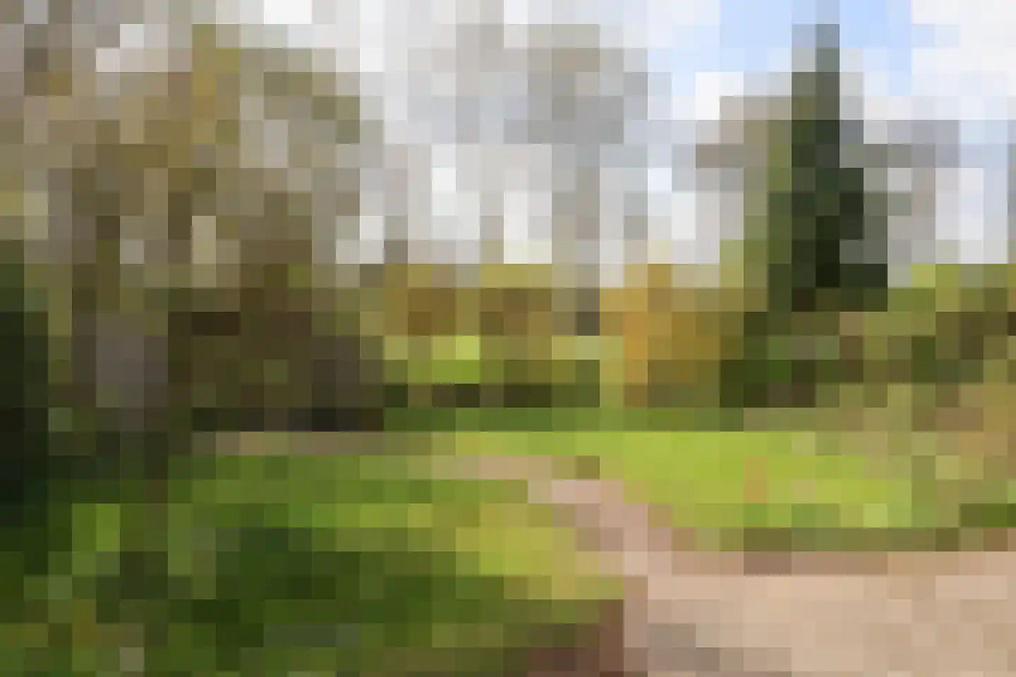 Oer de feart 28 Goutum thumbnail 63