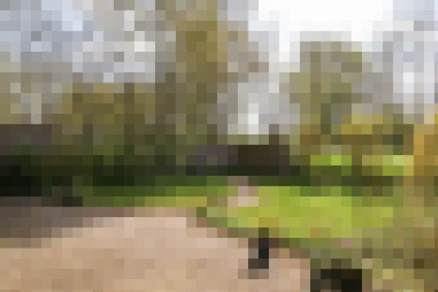 Oer de feart 28 Goutum thumbnail 64