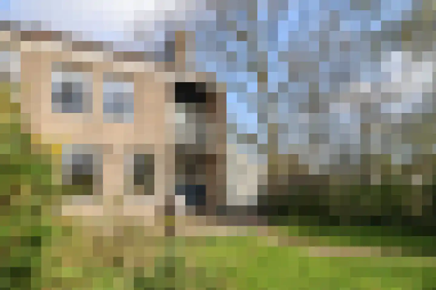 Oer de feart 28 Goutum thumbnail 67