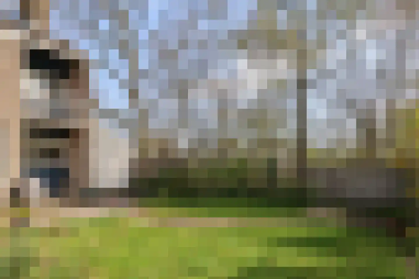 Oer de feart 28 Goutum thumbnail 68