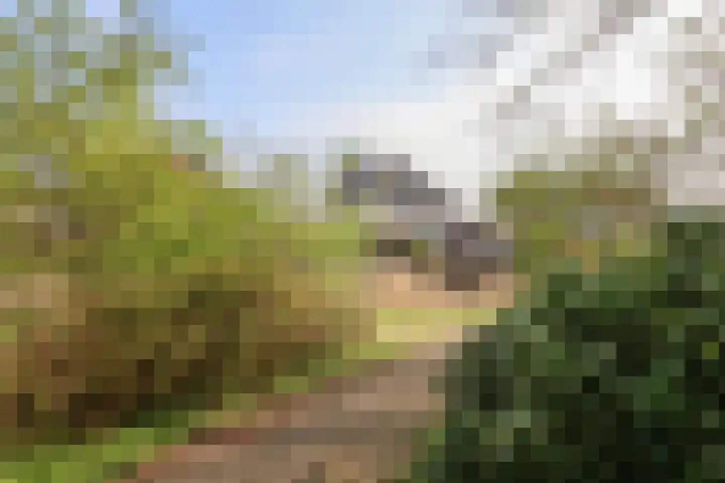 Oer de feart 28 Goutum thumbnail 69