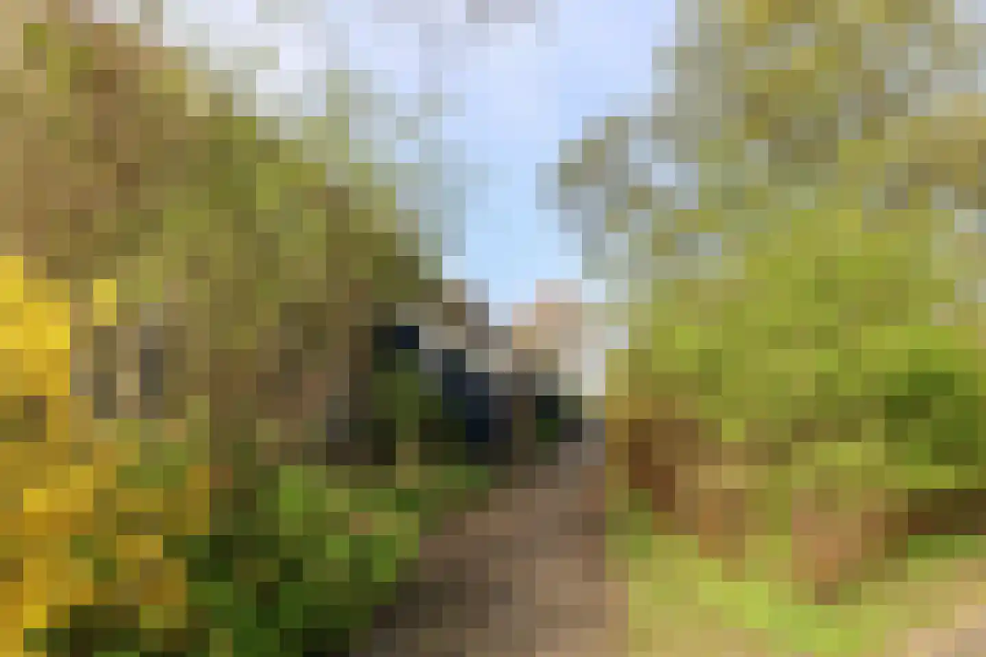 Oer de feart 28 Goutum thumbnail 71