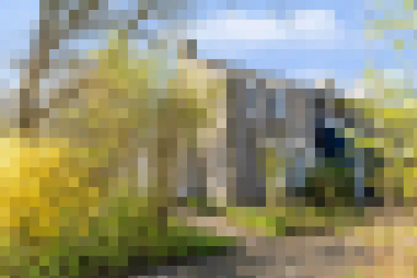 Oer de feart 28 Goutum thumbnail 75