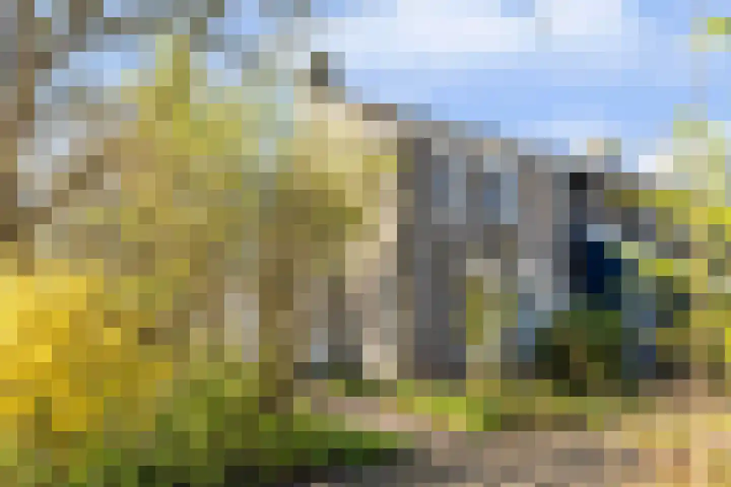 Oer de feart 28 Goutum thumbnail 76