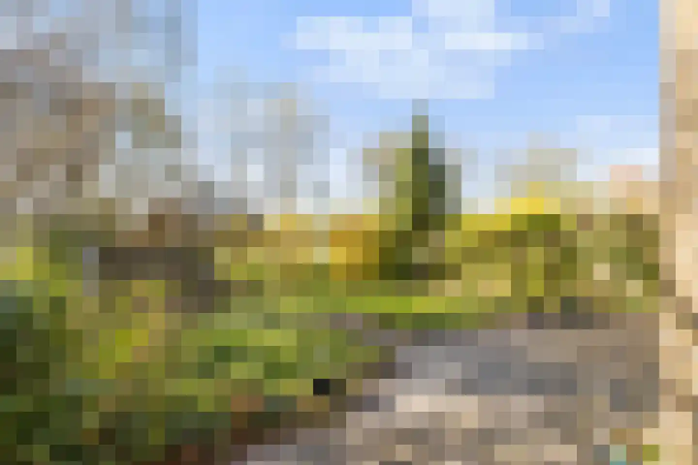 Oer de feart 28 Goutum thumbnail 79