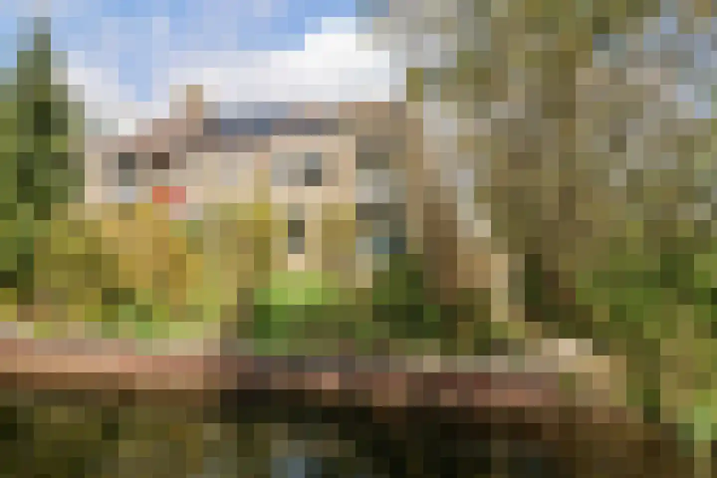 Oer de feart 28 Goutum thumbnail 8
