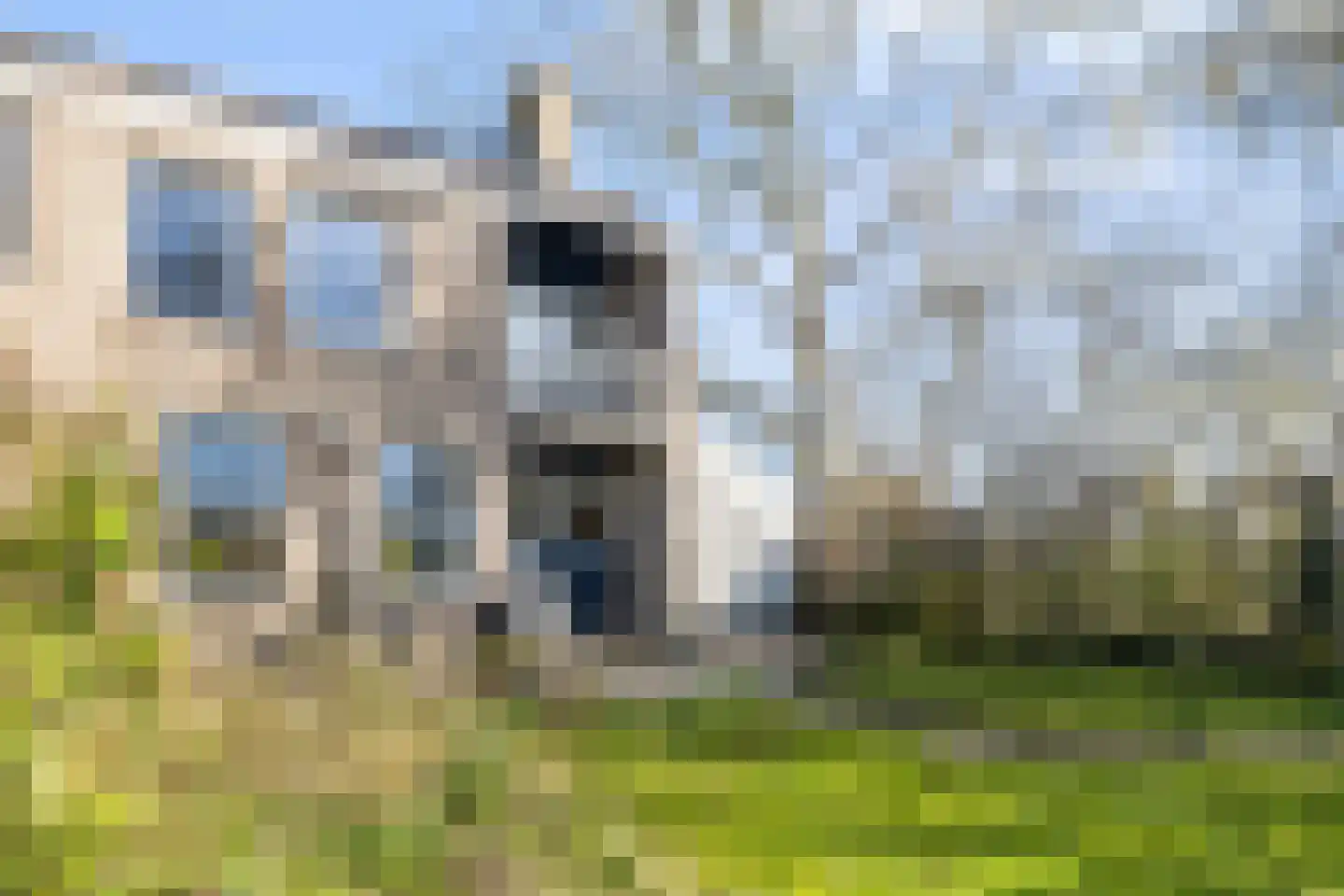 Oer de feart 28 Goutum thumbnail 83