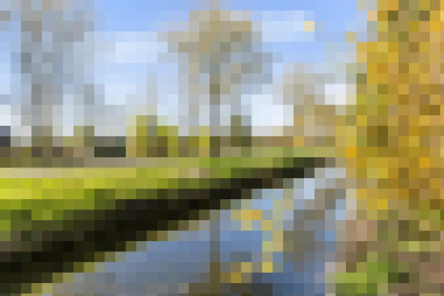 Oer de feart 28 Goutum thumbnail 84