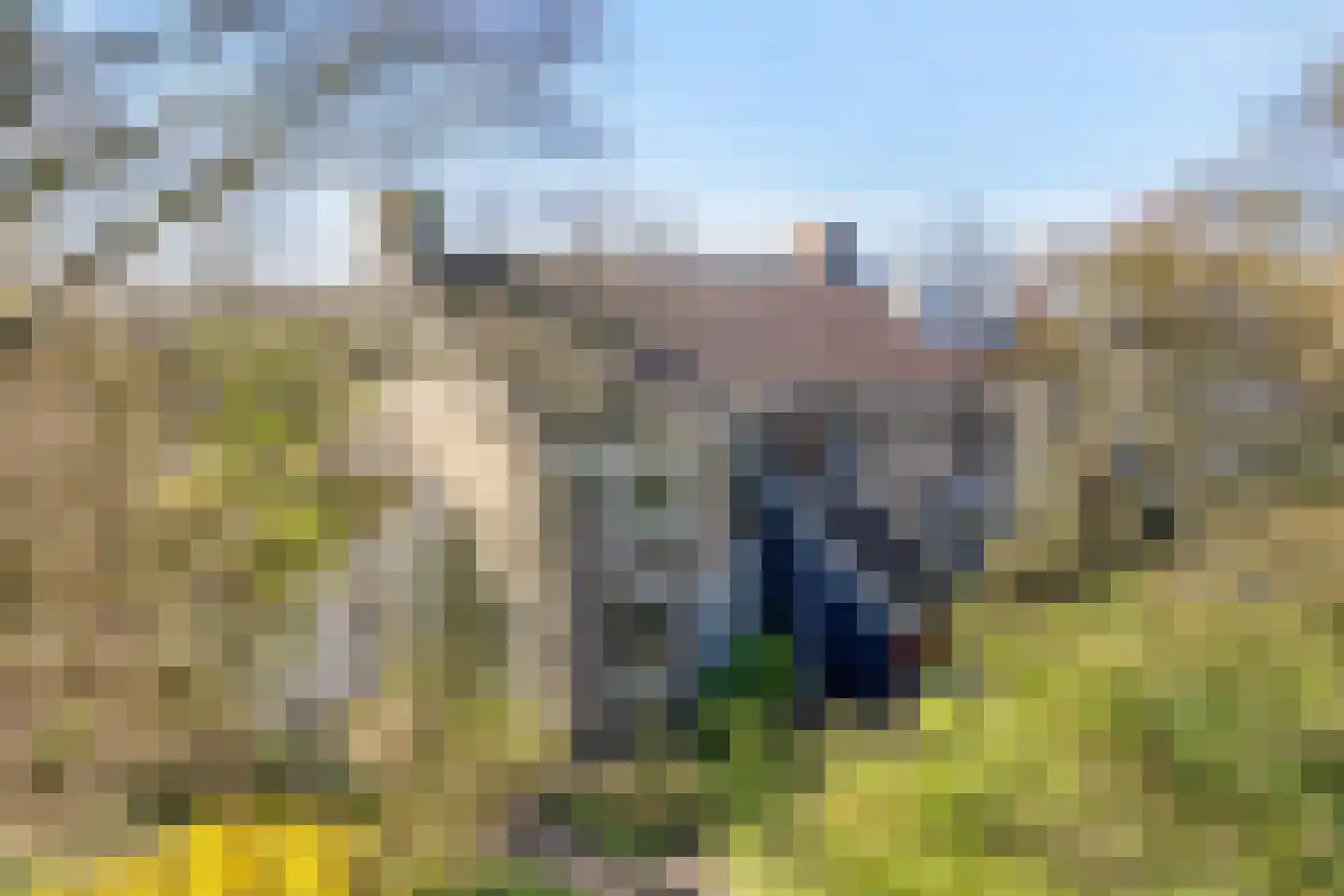 Oer de feart 28 Goutum thumbnail 86