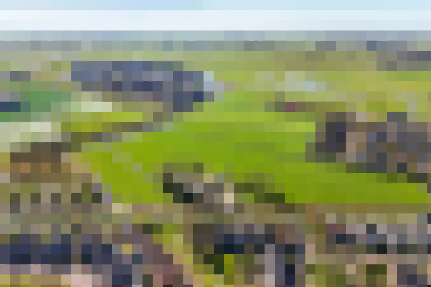 Oer de feart 28 Goutum thumbnail 87