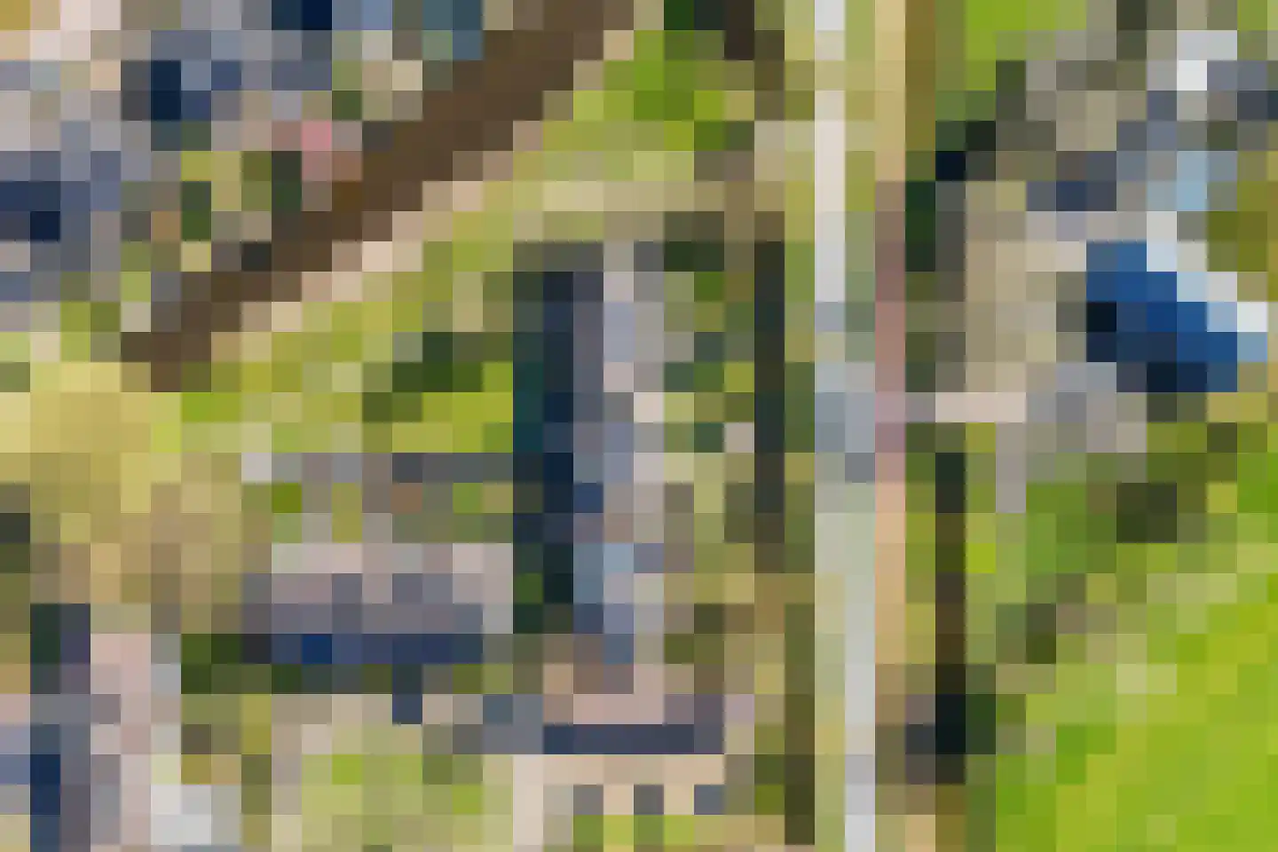 Oer de feart 28 Goutum thumbnail 89