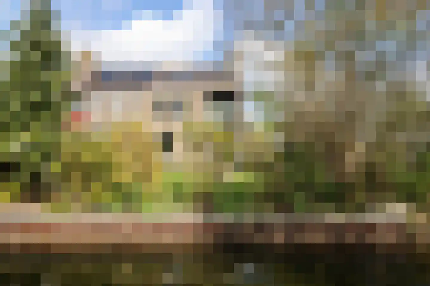 Oer de feart 28 Goutum thumbnail 9