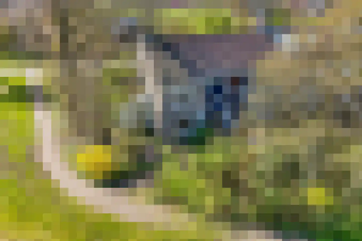 Oer de feart 28 Goutum thumbnail 90