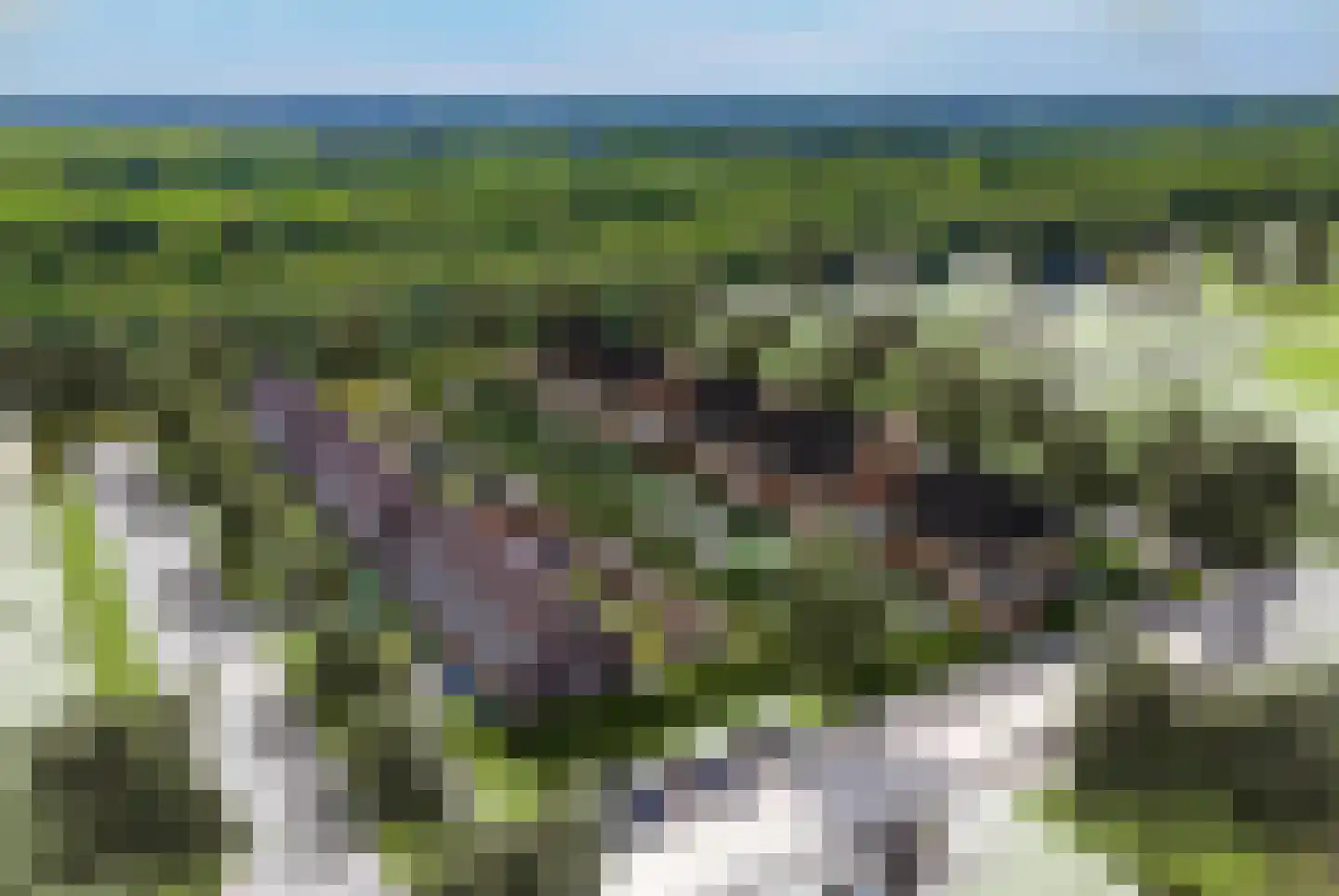 Oer de Feart 33 Joure thumbnail 5