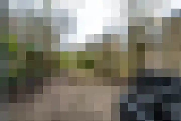 Oeral 170 Utrecht thumbnail 24