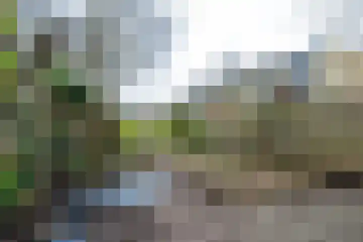 Oeral 170 Utrecht thumbnail 25
