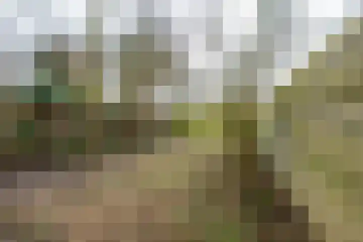 Oeral 170 Utrecht thumbnail 27