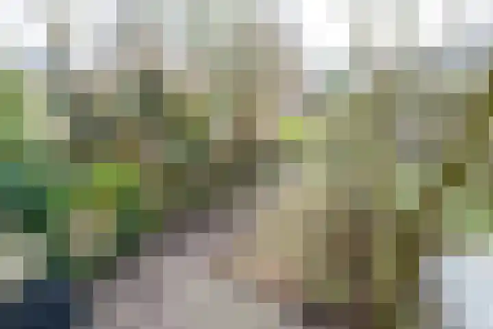 Oeral 170 Utrecht thumbnail 35