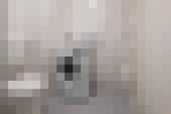 Oeral 170 Utrecht thumbnail 39