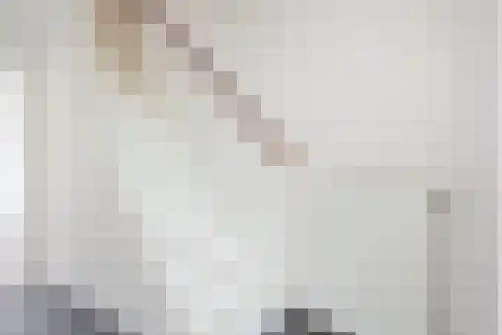 Oeral 78 Utrecht thumbnail 11