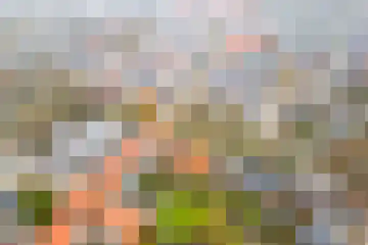 Oeral 78 Utrecht thumbnail 25