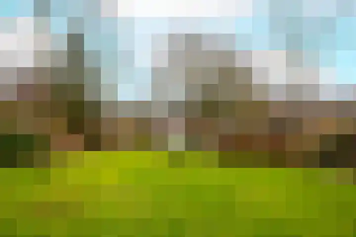 Oeral 78 Utrecht thumbnail 26