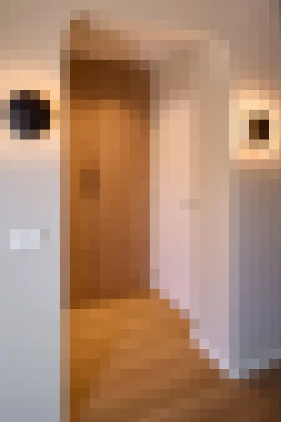 Oerallaan 4 Son en Breugel thumbnail 11