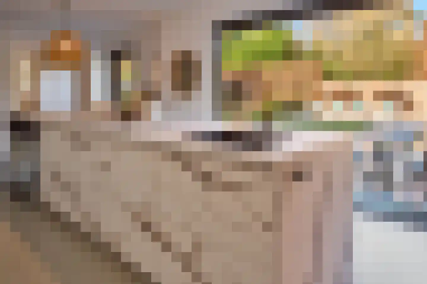 Oerallaan 4 Son en Breugel thumbnail 8