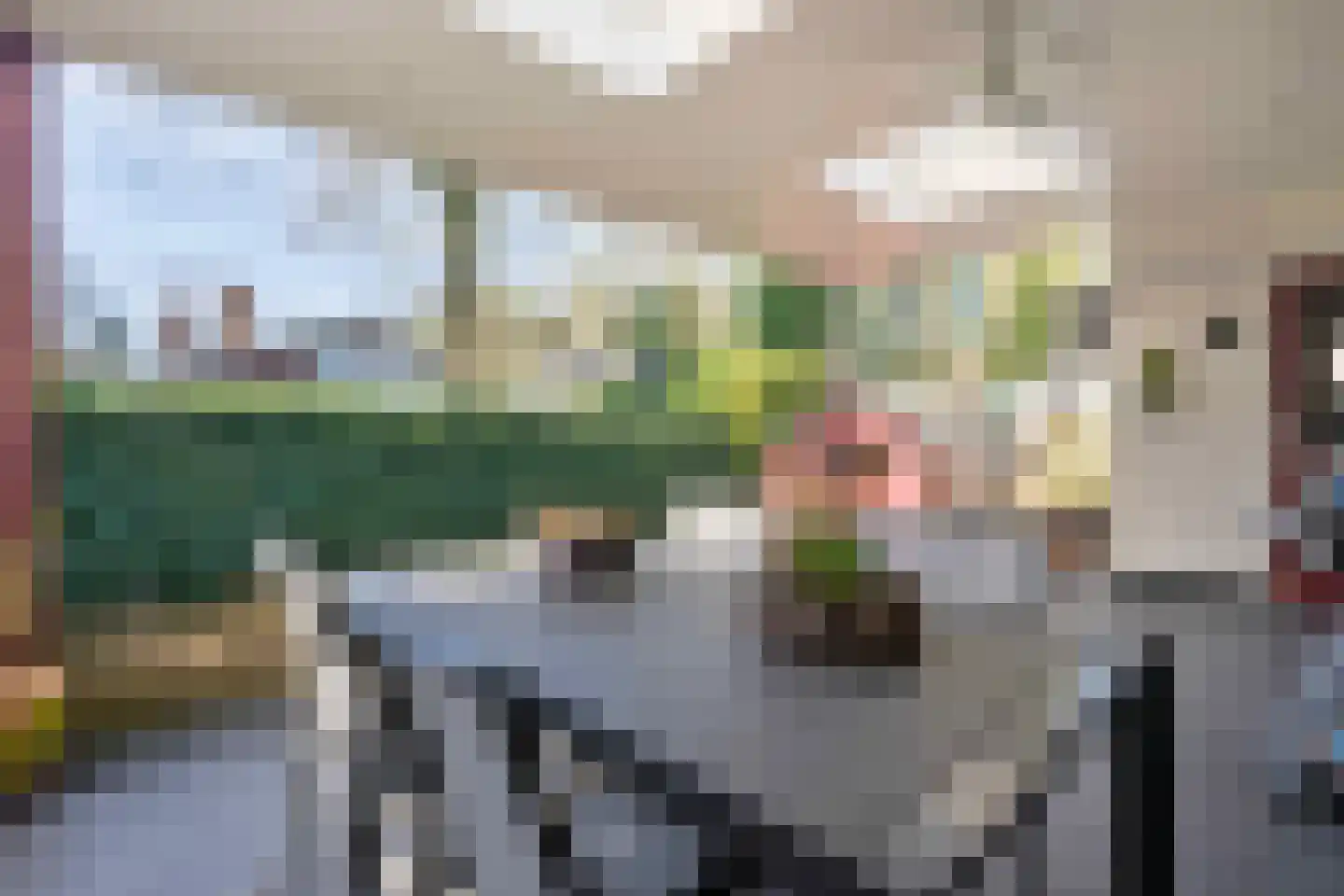 Oerallaan 4 Venray thumbnail 13