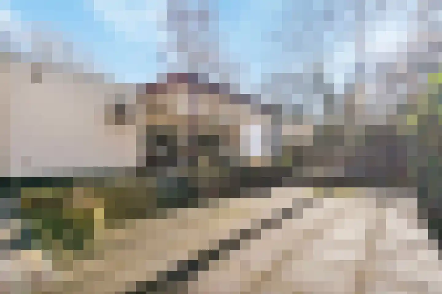 Oerallaan 4 Venray thumbnail 14