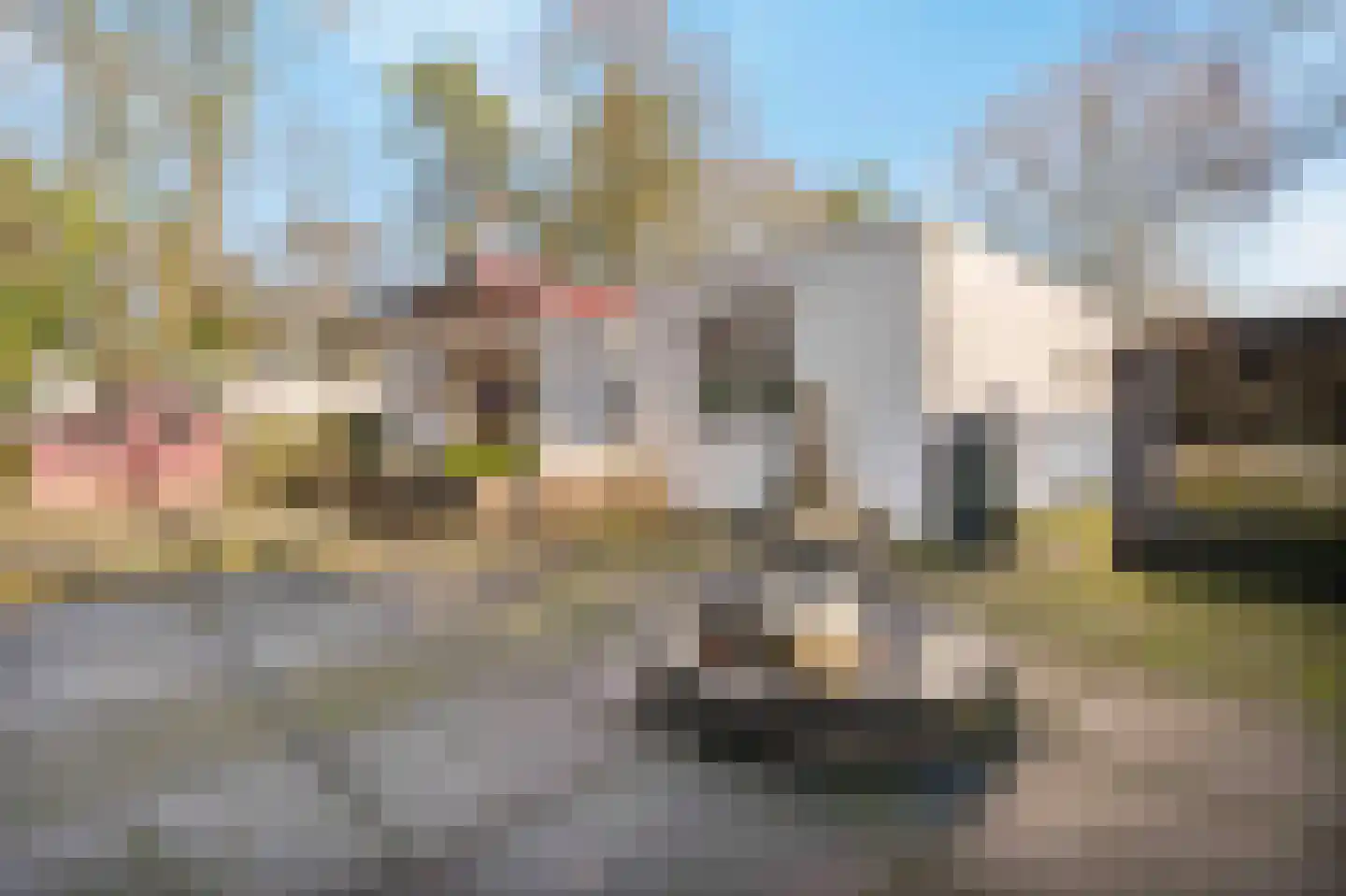 Oerallaan 4 Venray thumbnail 15