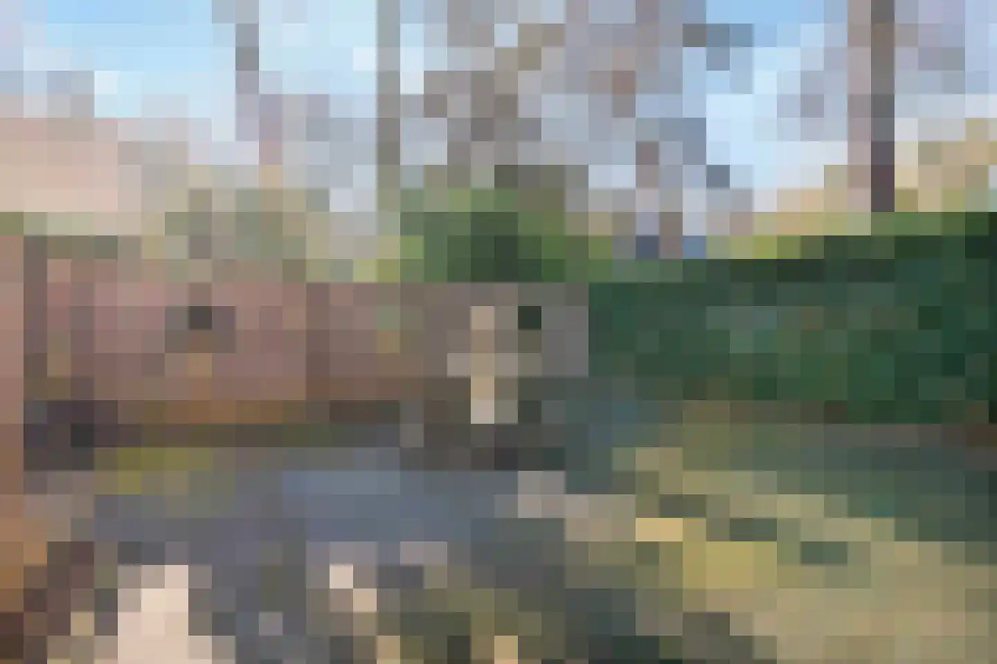 Oerallaan 4 Venray thumbnail 16