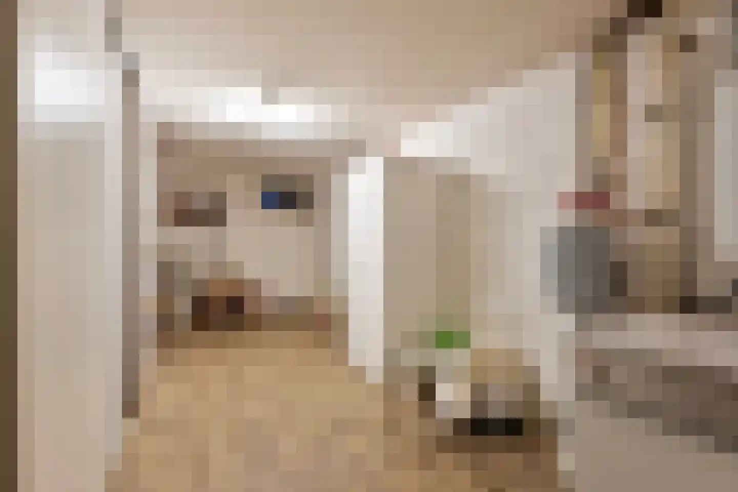 Oerallaan 4 Venray thumbnail 32