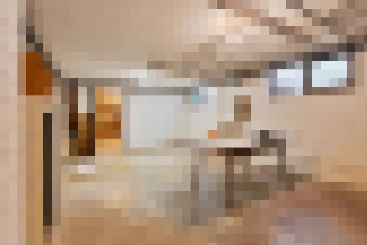 Oerallaan 4 Venray thumbnail 33