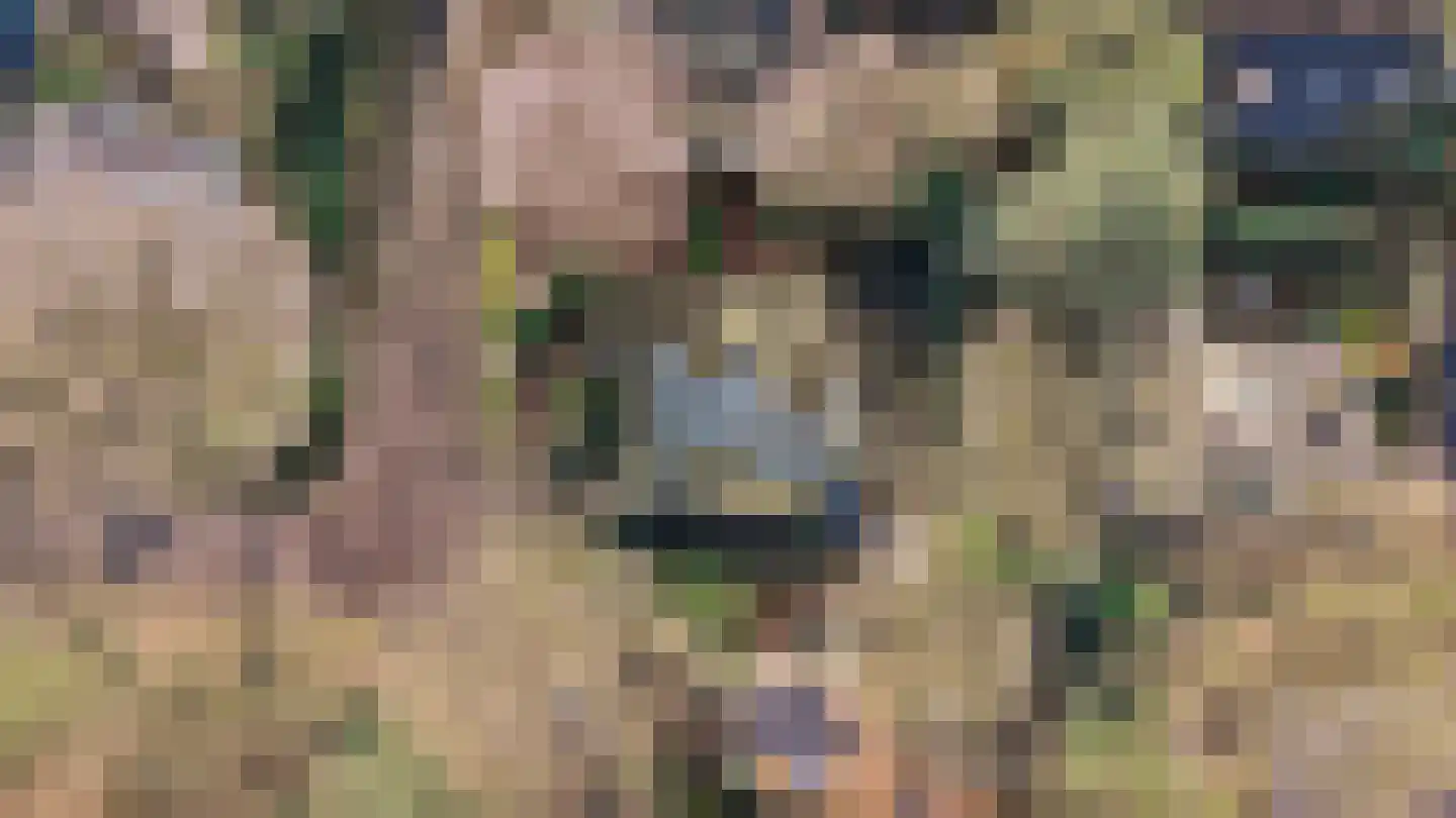 Oerallaan 4 Venray thumbnail 37